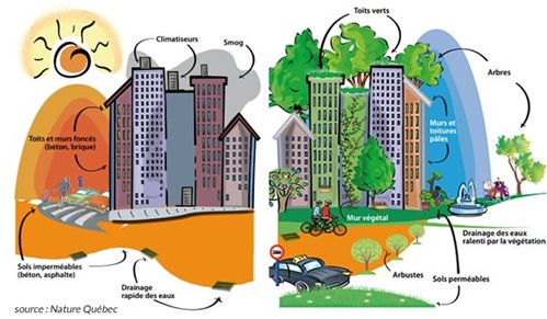 Plan de végétalisation urbain