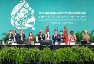 Accord de Kunming-Montréal : quels enjeux pour les entreprises à l’issue de la COP15 ?