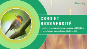 CSRD et biodiversité : les clefs pour réussir votre réponse à l’ESRS E4 et vous forger une politique biodiversité