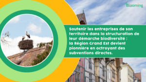 Soutenir les entreprises de son territoire dans la structuration de leur démarche biodiversité : la Région Grand Est devient pionnière en octroyant des subventions directes